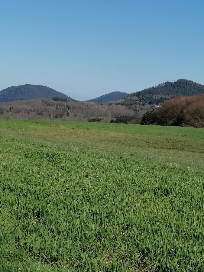 Villa Air Paix Le Mont Herpelmont Esterno foto
