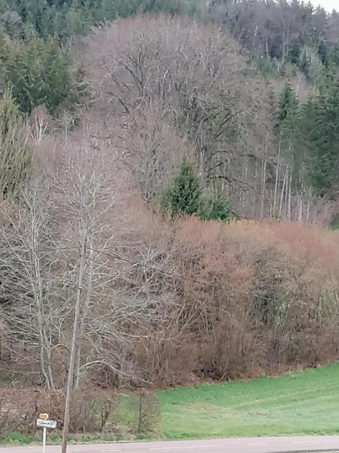 Villa Air Paix Le Mont Herpelmont Esterno foto